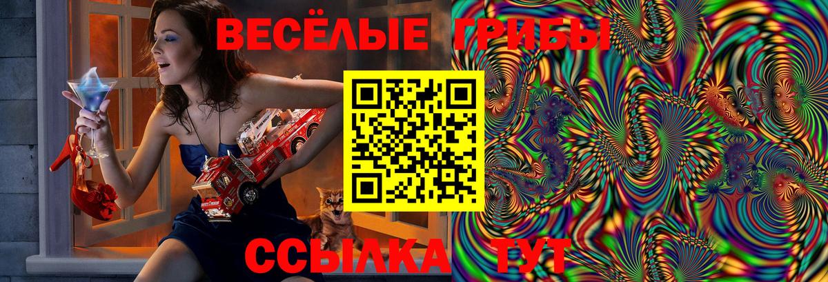 Галлюциногенные грибы Psilocybine cubensis Белгород